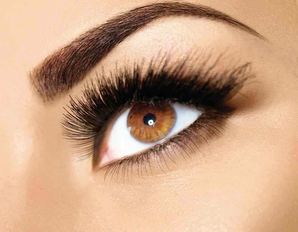 Top Benefits of Quality Eyebrow Feathering Training on the Sunshine Coast